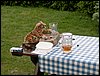 090610_PICT0172.JPG