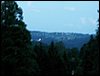 090610_PICT0183.JPG