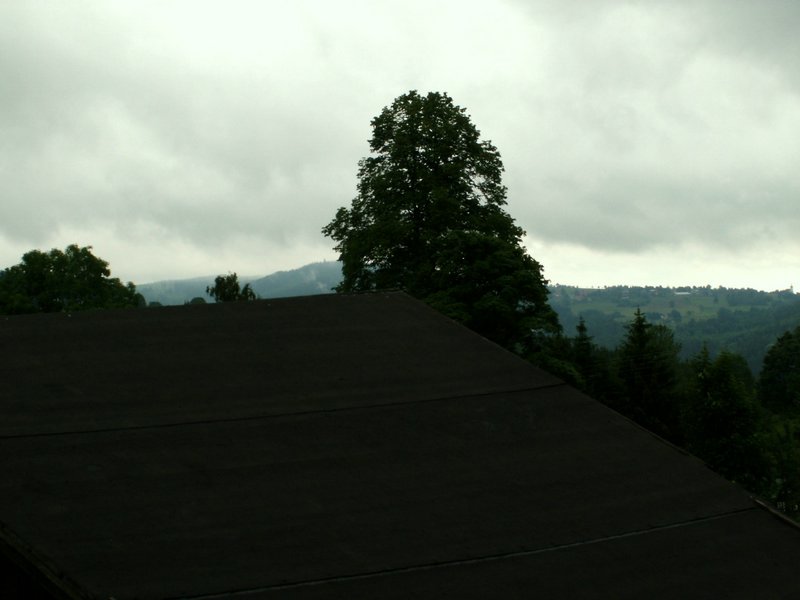 090611_PICT0020.JPG
