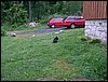 090611_PICT0017.JPG