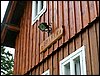 090611_PICT0018.JPG