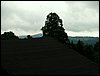 090611_PICT0020.JPG