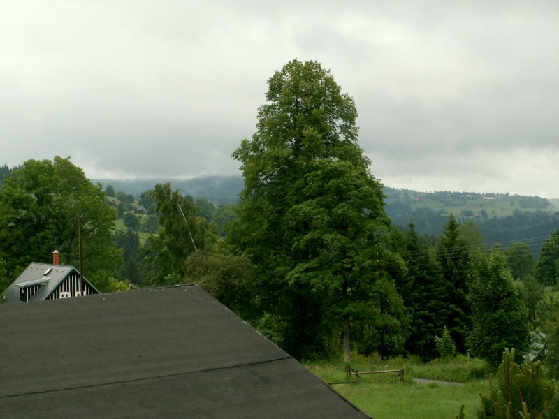 090612_PICT0002.JPG