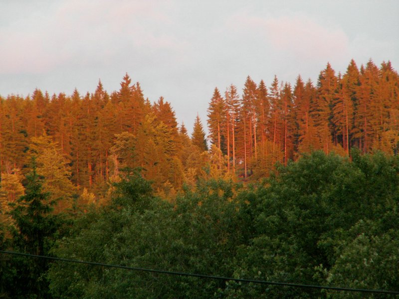 090612_PICT0014.JPG