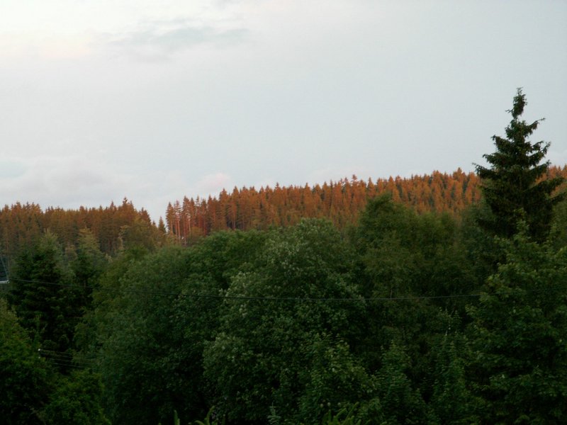 090612_PICT0015.JPG