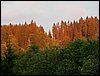 090612_PICT0014.JPG