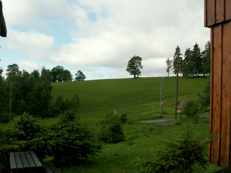 090613_PICT0001.JPG