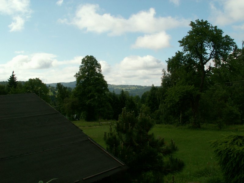 090613_PICT0003.JPG
