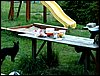 090613_PICT0033.JPG