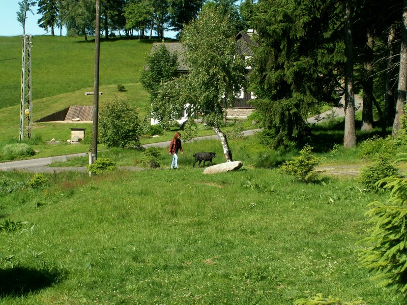090614_PICT0010.JPG