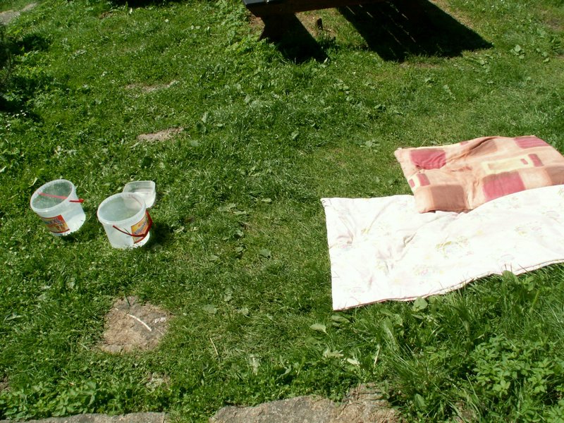 090614_PICT0017.JPG