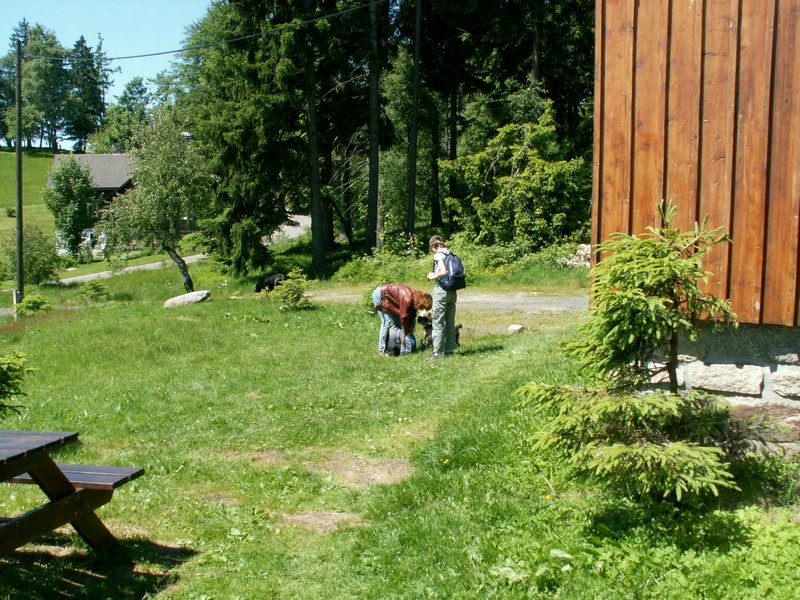 090614_PICT0020.JPG