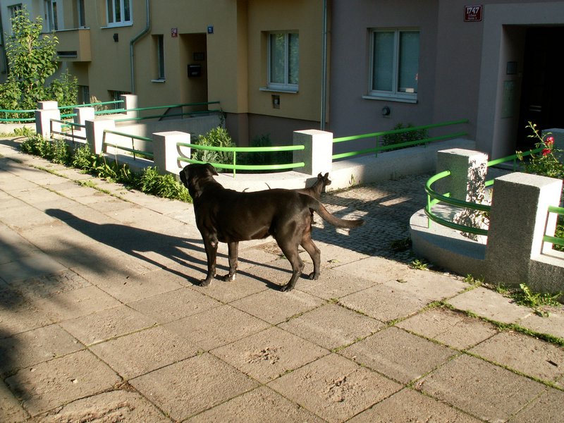 100605_PICT0006.JPG