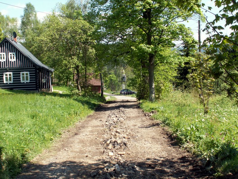 100605_PICT0036.JPG