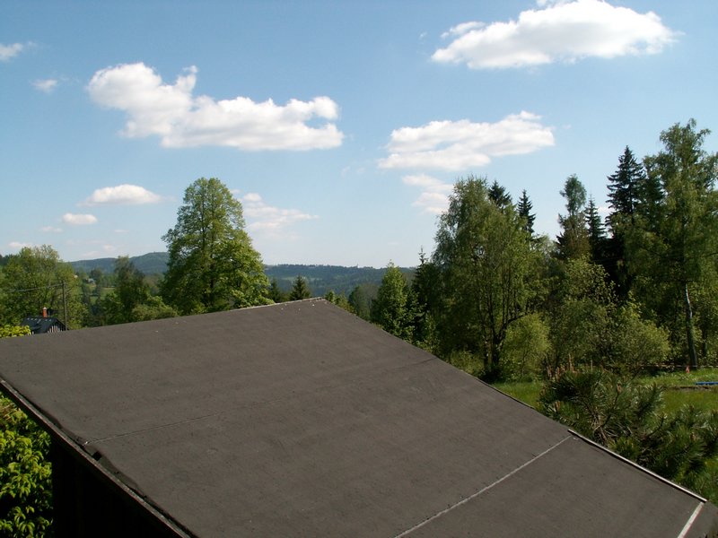 100605_PICT0046.JPG