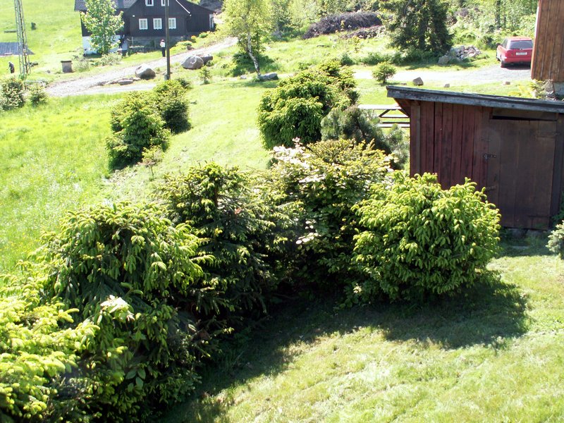 100605_PICT0052.JPG