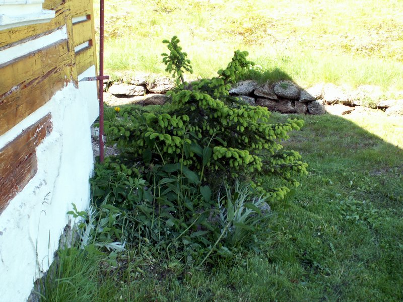 100605_PICT0059.JPG
