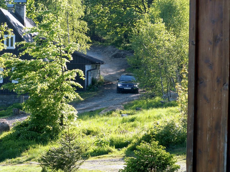 100605_PICT0088.JPG