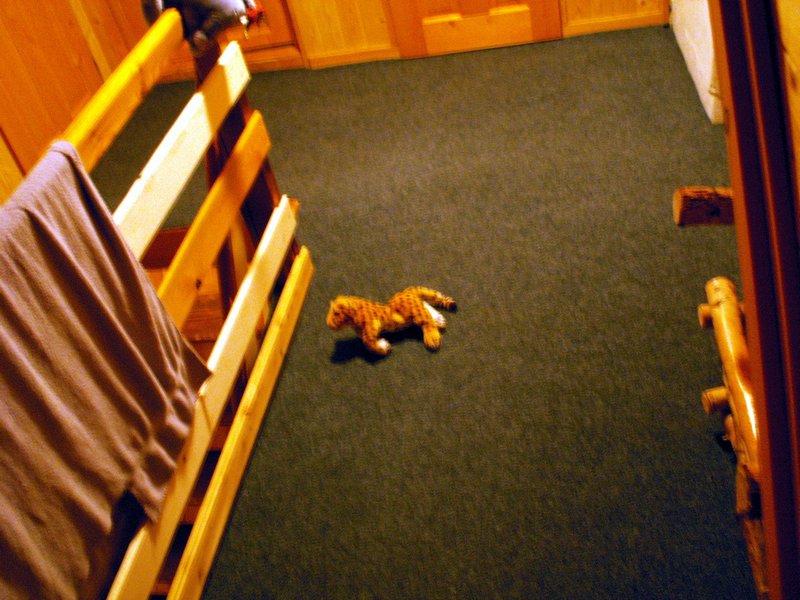 100605_PICT0101.JPG