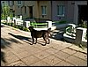 100605_PICT0006.JPG