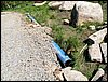 100605_PICT0011.JPG