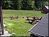 100605_PICT0019.JPG