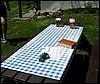 100605_PICT0030.JPG