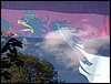 100605_PICT0035.JPG