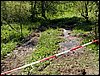 100605_PICT0037.JPG