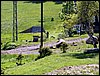 100605_PICT0045.JPG