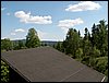 100605_PICT0046.JPG