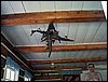 100605_PICT0049.JPG