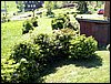 100605_PICT0052.JPG