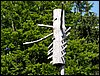 100605_PICT0055.JPG