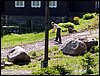 100605_PICT0057.JPG