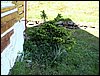100605_PICT0059.JPG