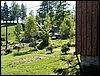 100605_PICT0069.JPG