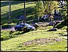 100605_PICT0090.JPG