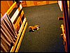 100605_PICT0101.JPG