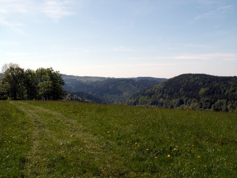 100606_PICT0013.JPG