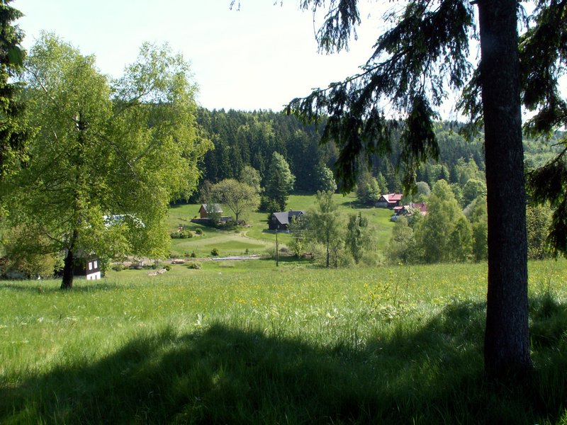 100606_PICT0018.JPG