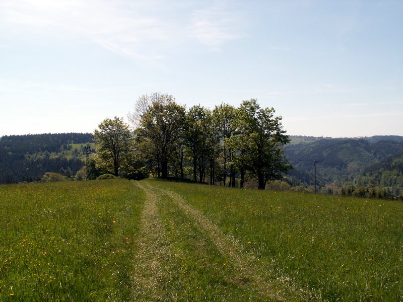 100606_PICT0020.JPG
