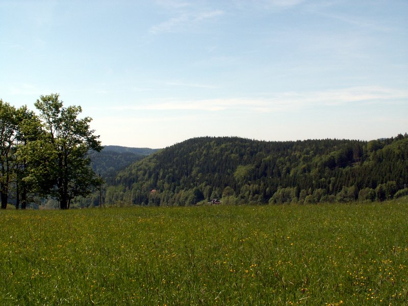 100606_PICT0027.JPG