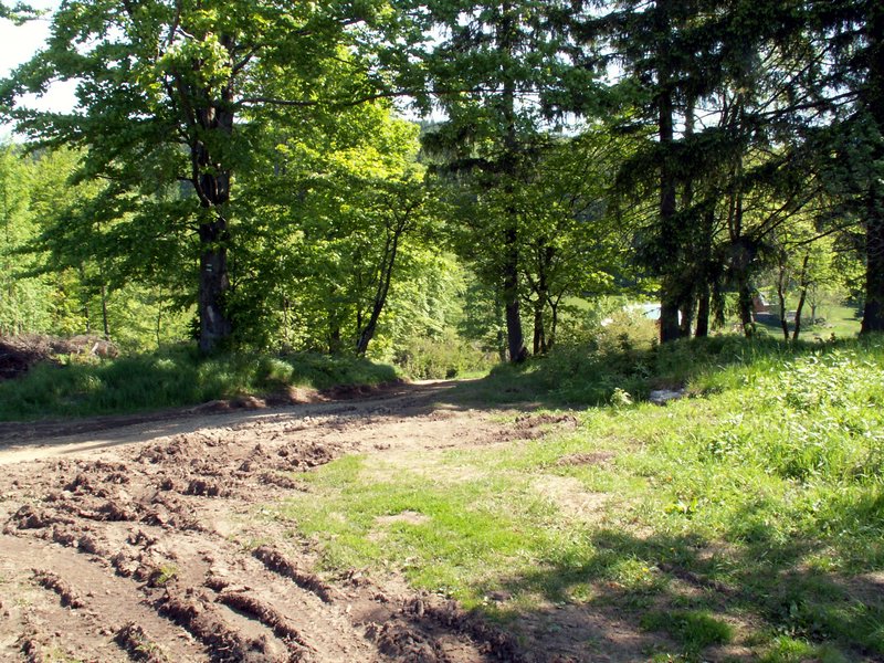 100606_PICT0029.JPG