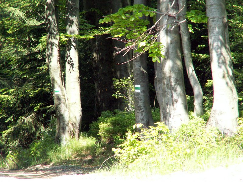 100606_PICT0032.JPG