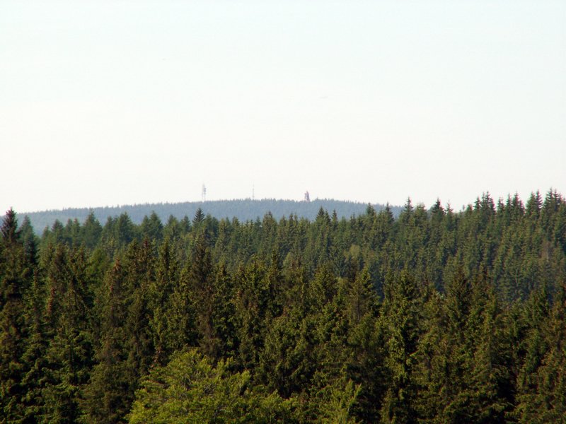 100606_PICT0033.JPG