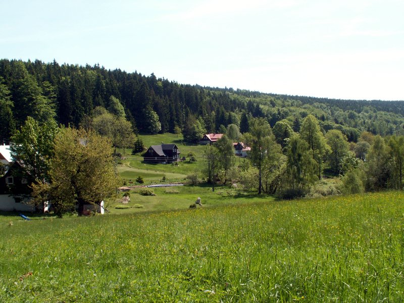 100606_PICT0038.JPG