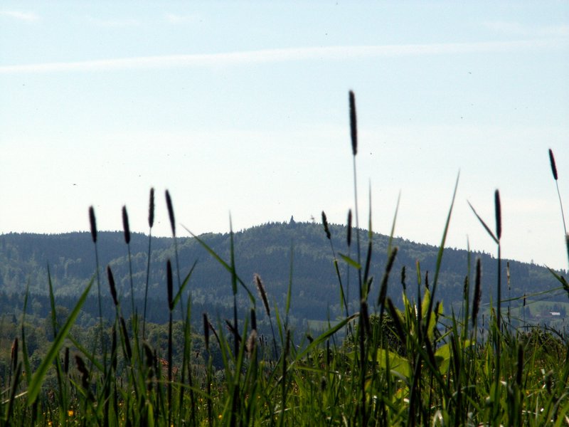 100606_PICT0039.JPG