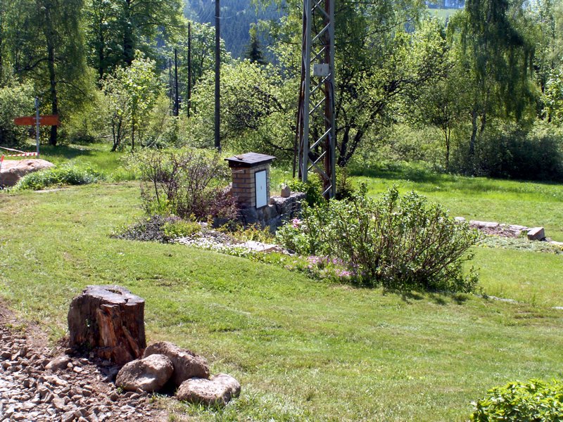 100606_PICT0041.JPG