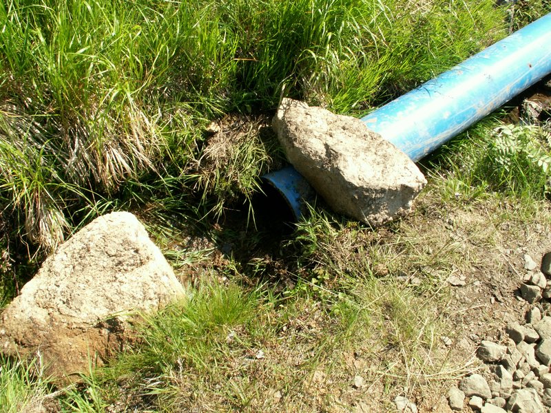 100606_PICT0042.JPG